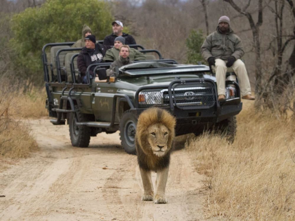Thornybush