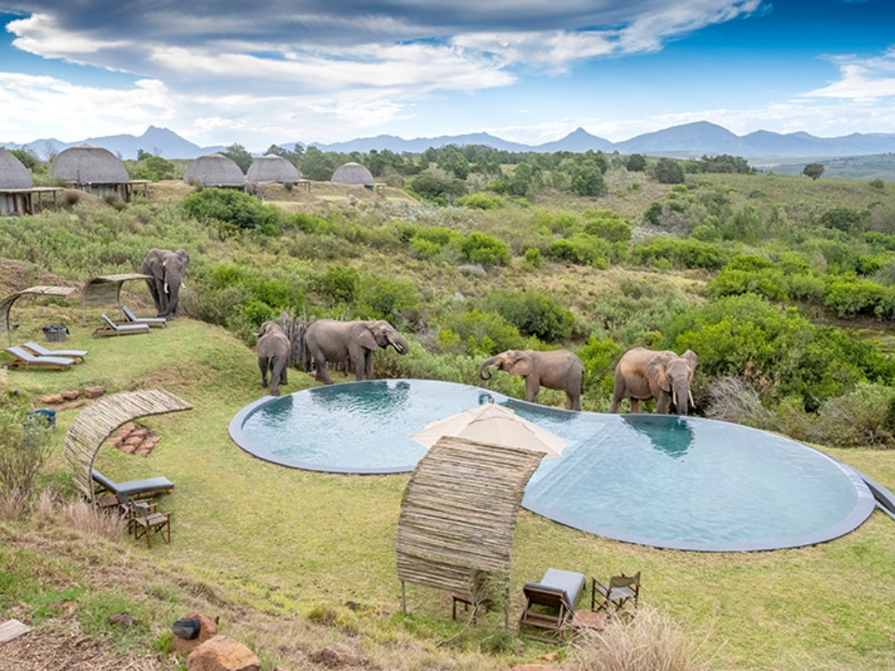 Bushmans Kloof Gondwana