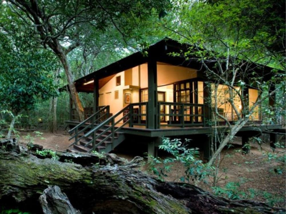 The Dulini Collection - Sabi Sand Phinda Forest Lodge