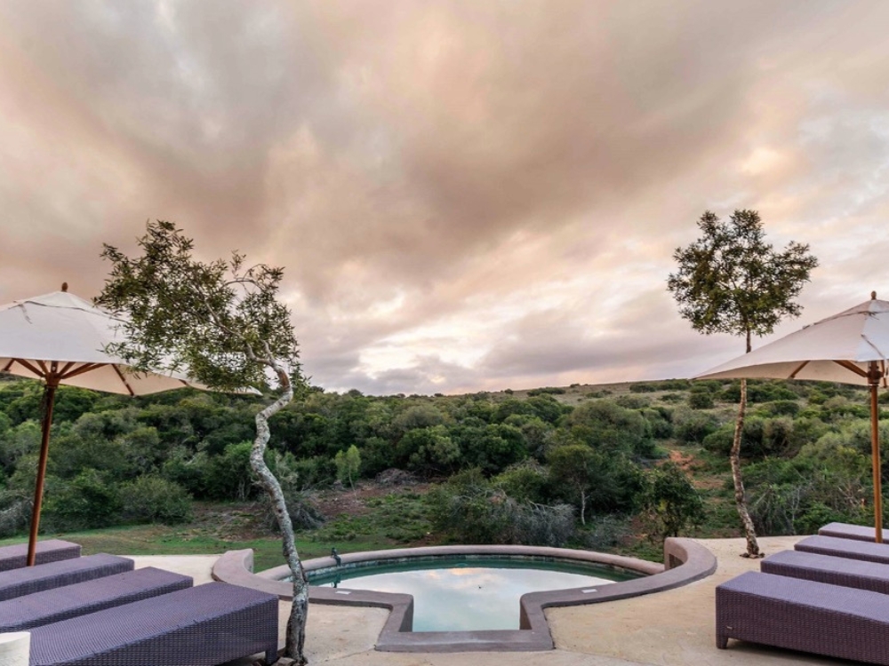 Amakhala Game Reserve