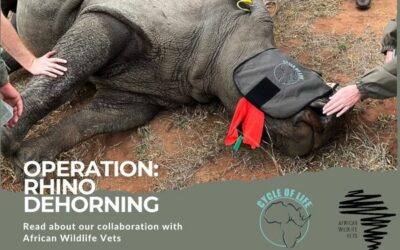 30 rhinos dehorned already….