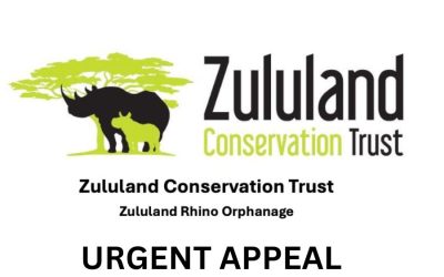 Funds donated for a new Boma Facility at the Zululand Rhino Orphanage