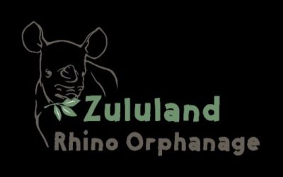 Making a Difference at the Zululand Rhino Orphanage