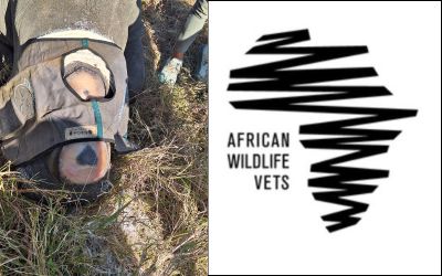 Hluhluwe-iMfolozi Park Maintenance Dehorning Project Thanks