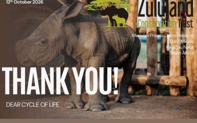 Boma Upgrades Completed at the Zululand Rhino Orphanage